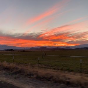 Meet your Posher, Maggie